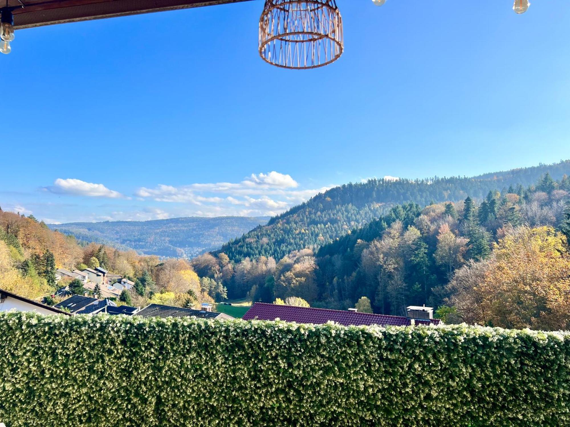 Wohnen Im Schwarzwald Mit Panoramablick Apartment บัดแฮร์เรนอัลบ์ ภายนอก รูปภาพ