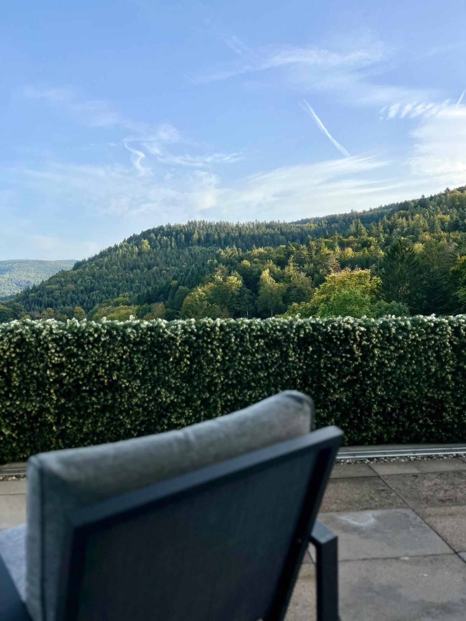 Wohnen Im Schwarzwald Mit Panoramablick Apartment บัดแฮร์เรนอัลบ์ ภายนอก รูปภาพ