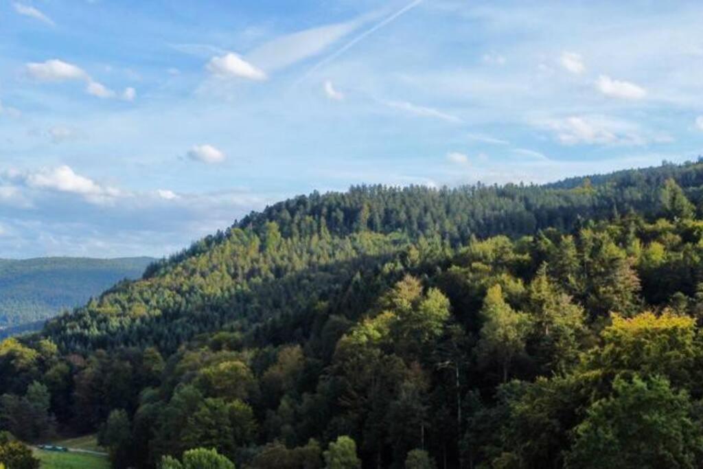 Wohnen Im Schwarzwald Mit Panoramablick Apartment บัดแฮร์เรนอัลบ์ ภายนอก รูปภาพ